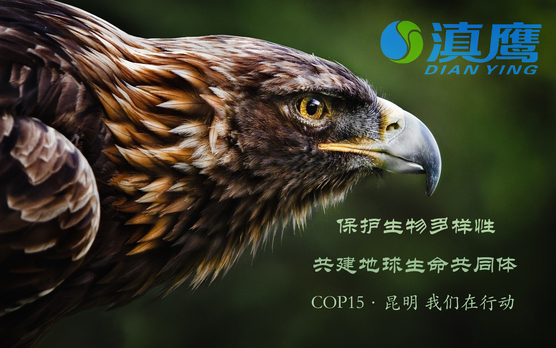 讓綠水青山永續(xù)，讓美麗持續(xù)綻放